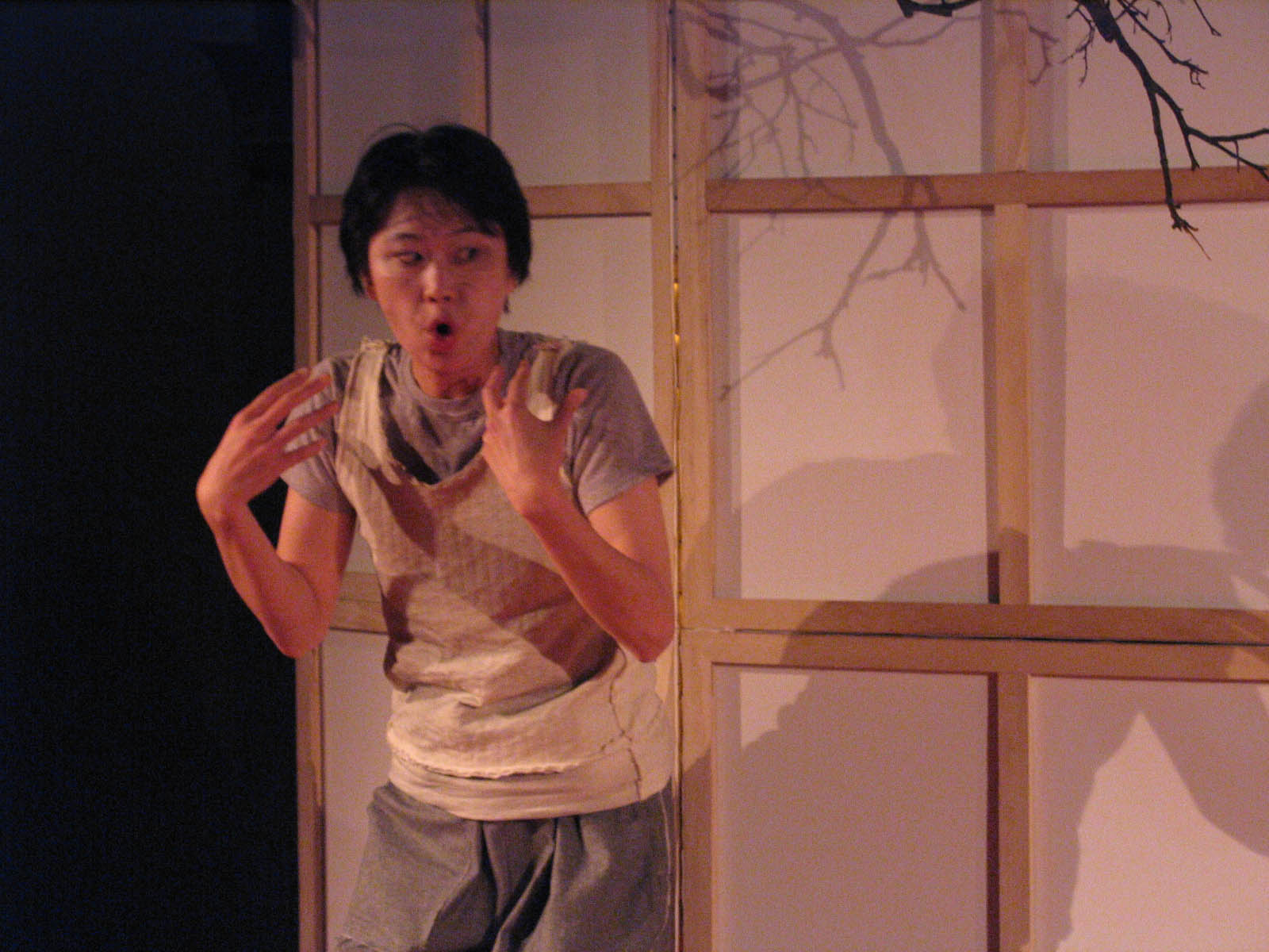Yukio Mishima’s “The Damask Drum” StoneCrabs Theatre