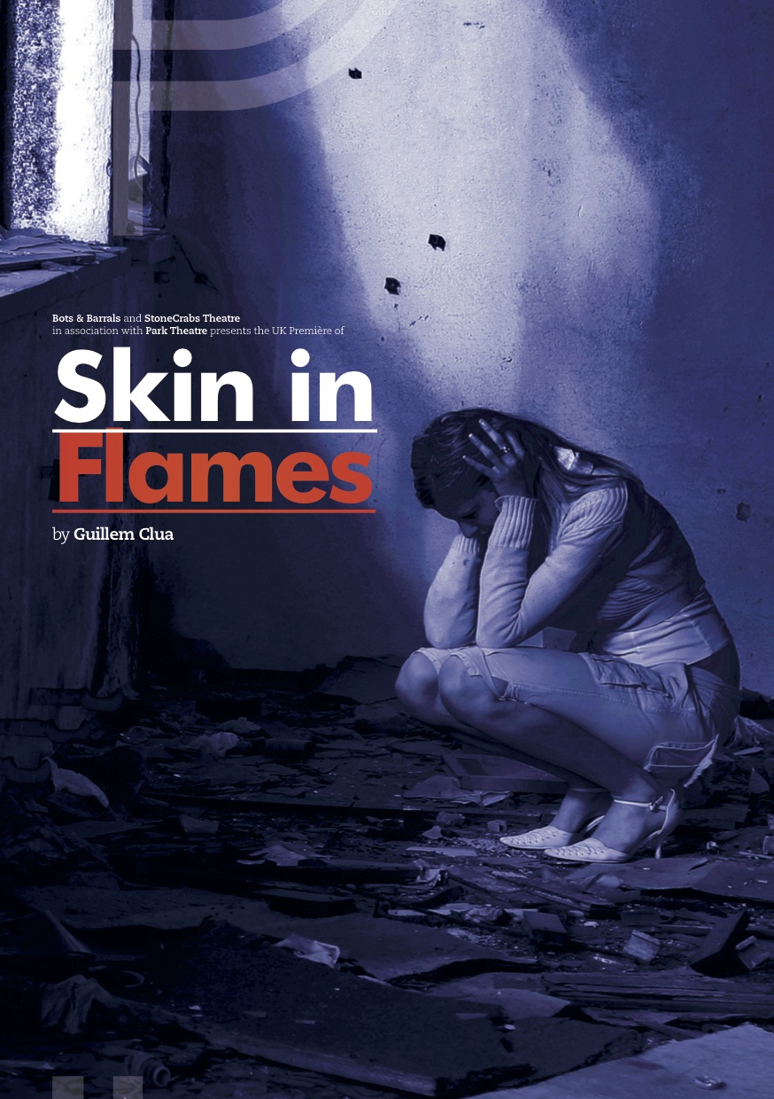 skin_in_flames_front.jpg