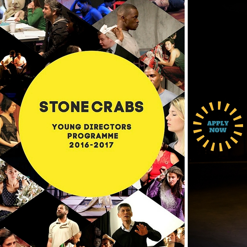 stonecrabs-young-director-programme-2016-2017-apply-now.jpg