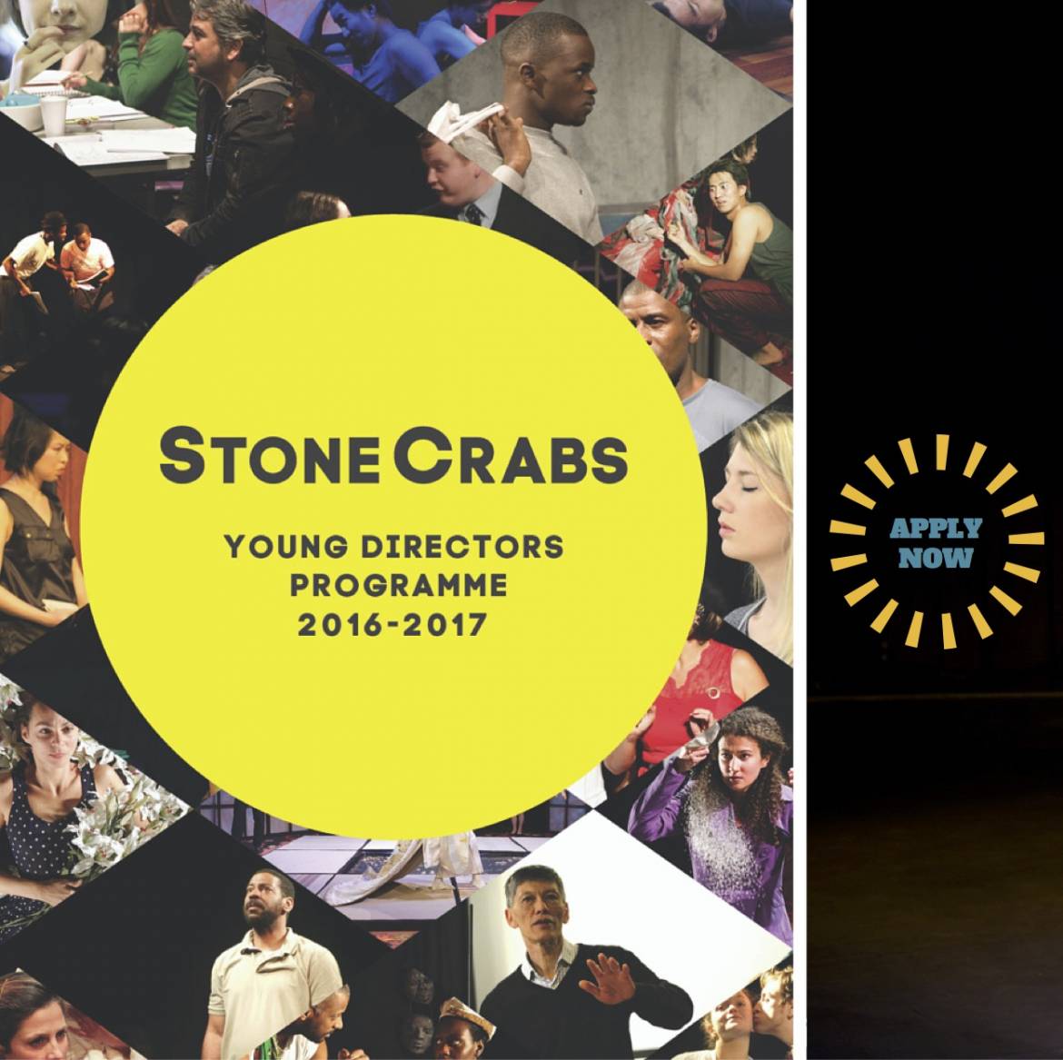 stonecrabs-young-directors-apply-now-2016-2017.jpg