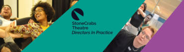 Directors In Practice Programme